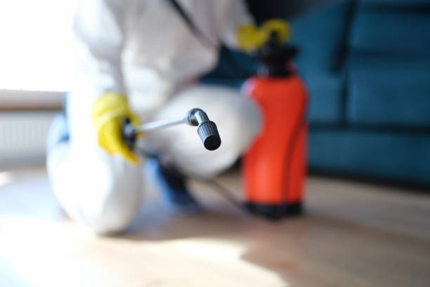 Trusted Loveland, OH Mold Removal Experts